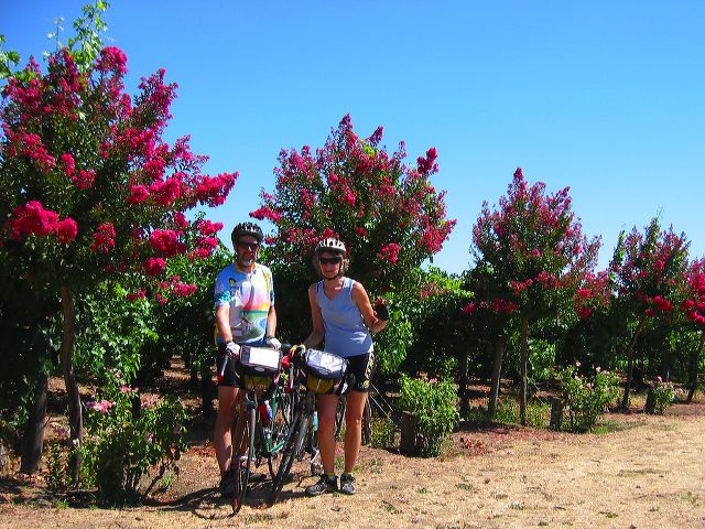 napa_cycling_05.jpg