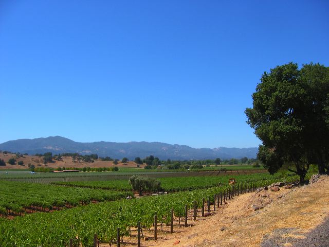 napa_cycling_11.jpg