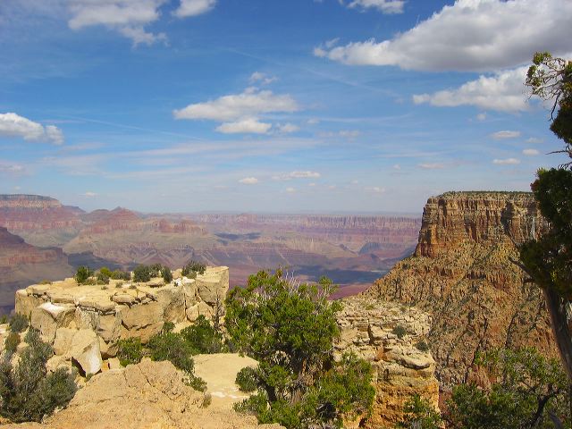 img_7592.jpg