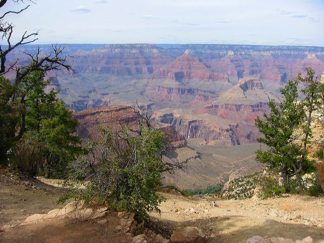 img_7601.jpg