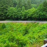 oregon_cycling_067.JPG